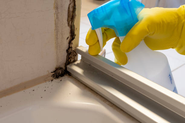 Best Commercial Mold Removal  in , NJ